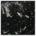 NERO FOSSILE